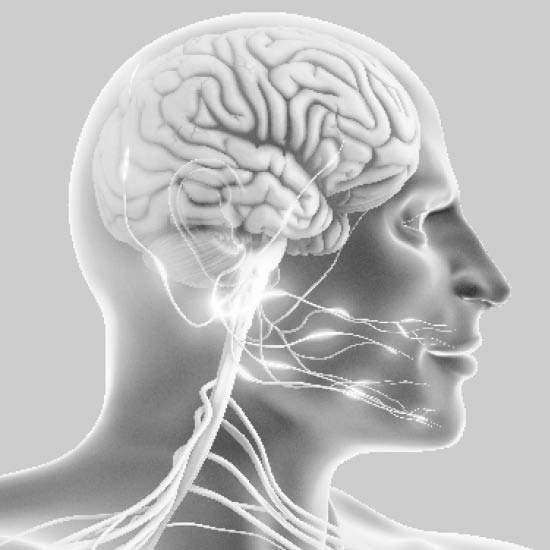Image du signal neurologique