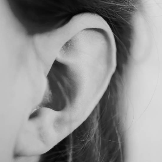 Image de l'oreille