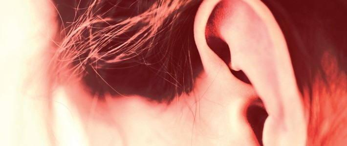 Gros plan d'une oreille Gros plan d'une oreille
