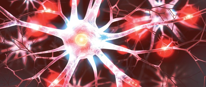 Gros plan d'une cellule nerveuse Gros plan d'une cellule nerveuse